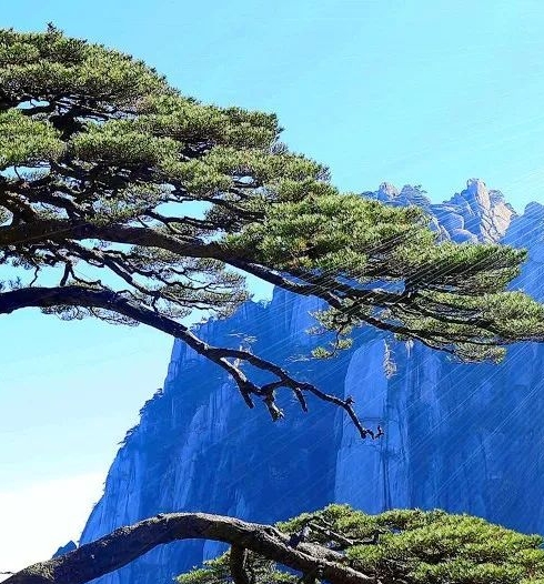 广州粉象生活收入