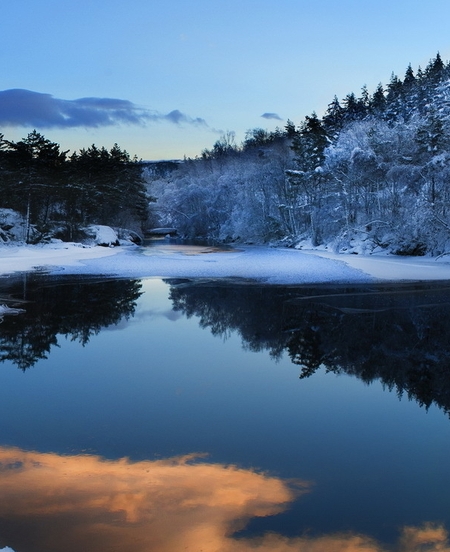 粉象生活粉丝积分怎么算