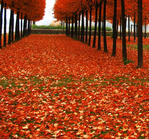 江苏粉象生活靠谱么