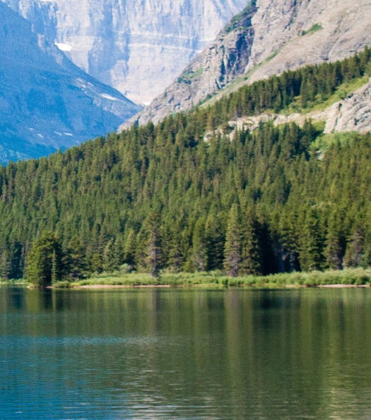 粉象生活哪个公司的