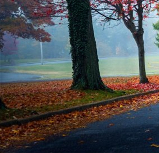 粉象生活如何省钱购物