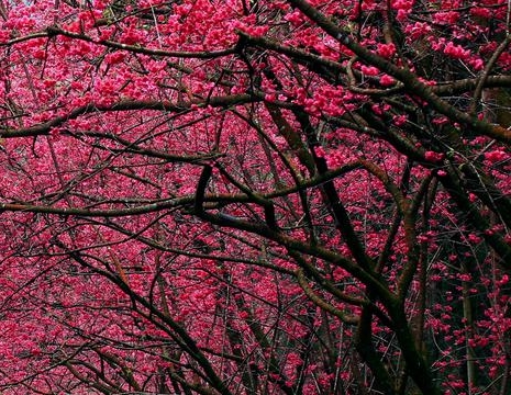 粉象生活怎么样做自媒体