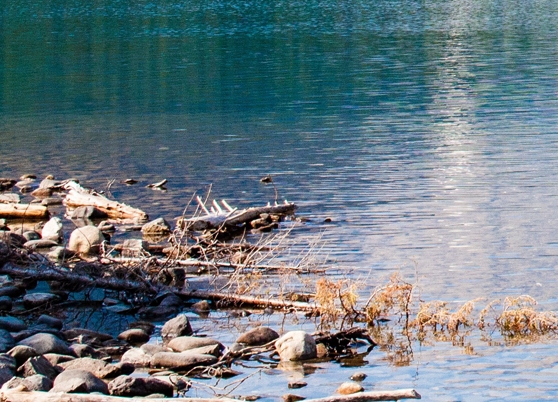 粉象生活邀请码