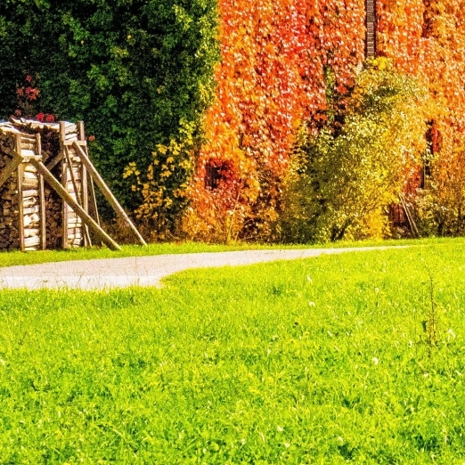 类似粉象生活的软件有哪些