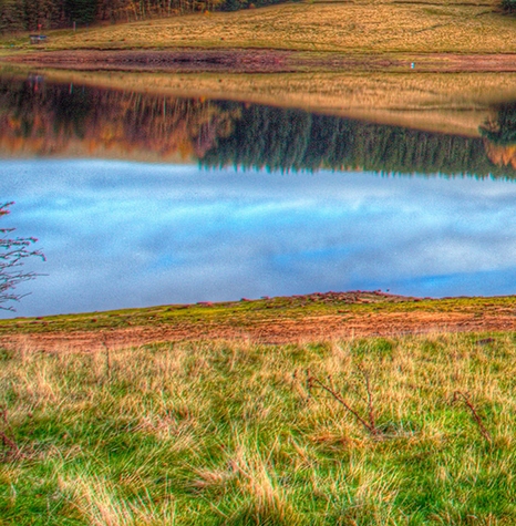 怎么去朋友圈推广粉象生活