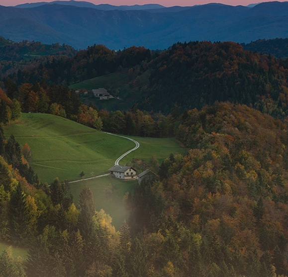 粉象生活下载量是多少