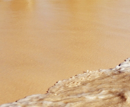 粉象生活下单得奖码截图