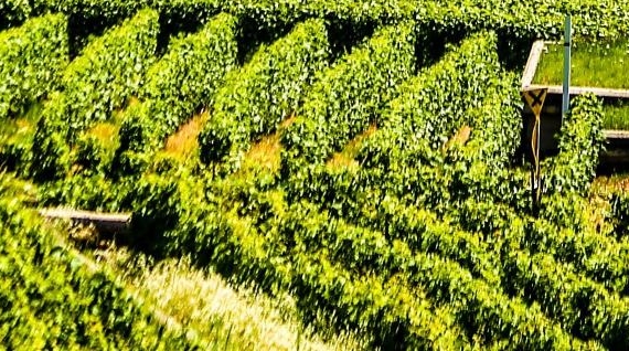 粉象生活怎么做微信二维码