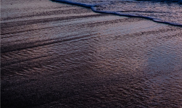 粉象生活替代app