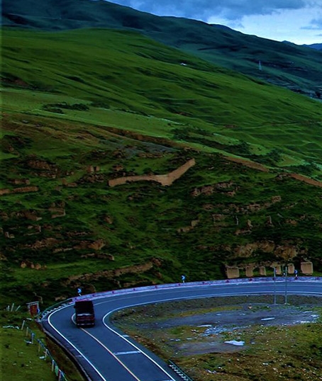 粉象生活加油测评