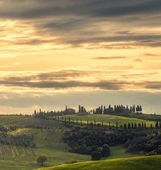 粉象生活上传产品怎么赚钱