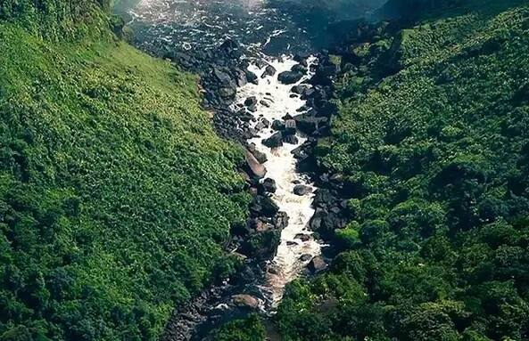 粉象这个平台合法吗