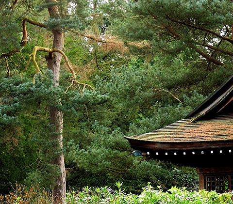 粉象生活邀请码填谁的最好