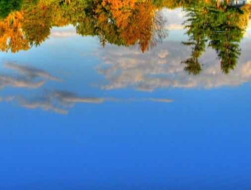 福建粉象生活app