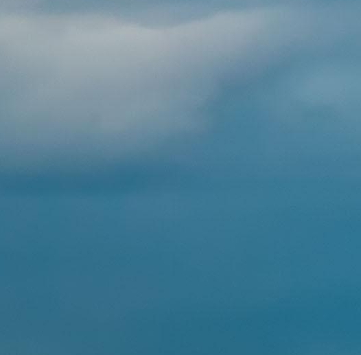 粉象生活收益制度