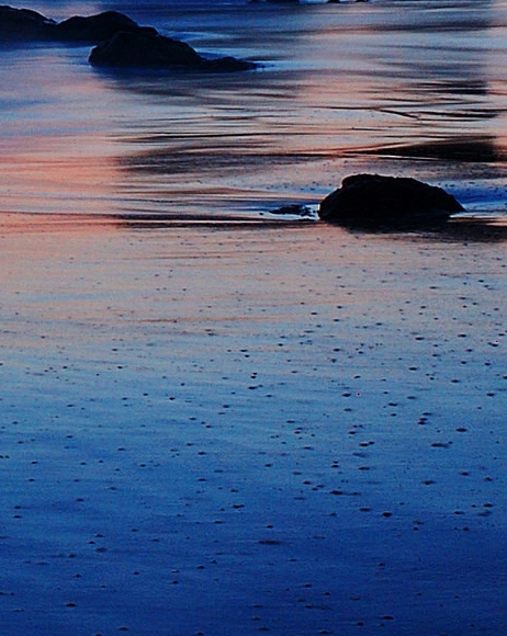 粉象生活上怎么推广粉丝