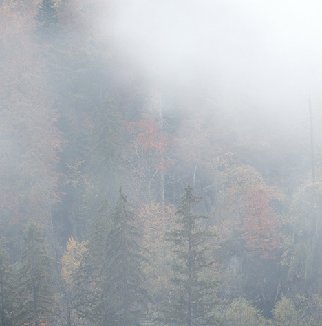粉象生活邀请码怎么改数字