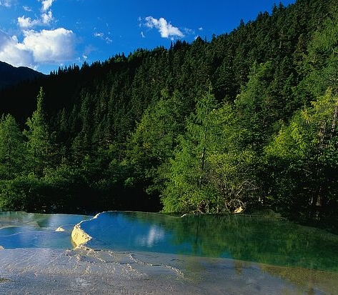 粉象生活创业计划