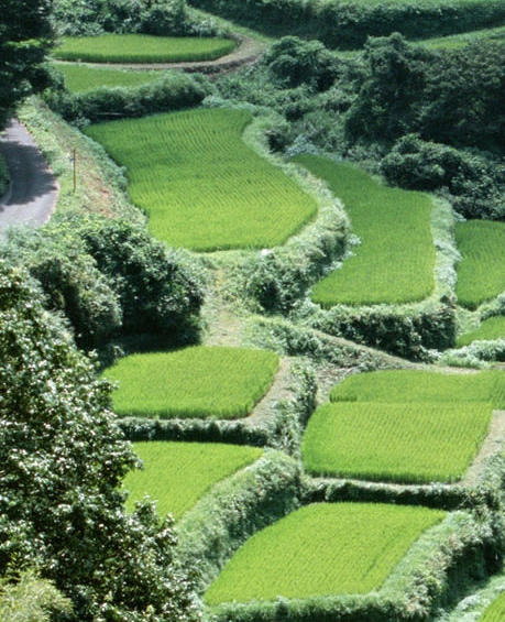 粉象生活注销了还能注册