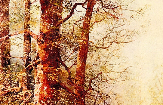 粉象生活怎么分享好友