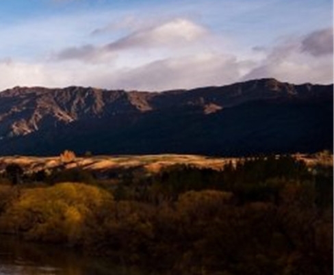 粉象生活能赚到钱吗