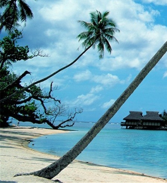 粉象生活返佣是真的吗