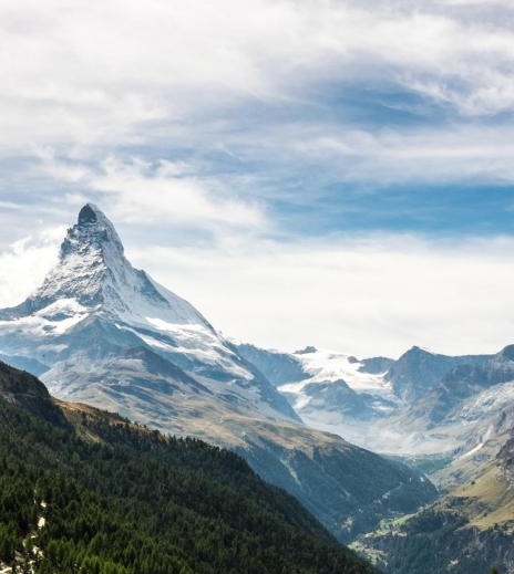 粉象生活的实际市场怎么样