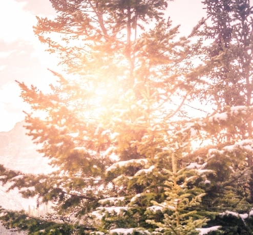 粉象生活邀请码可以改吗