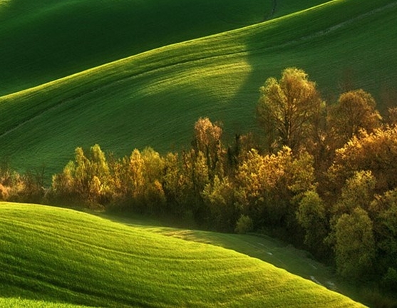 粉象生活类似的软件