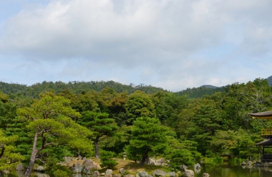 粉象生活是个什么东西