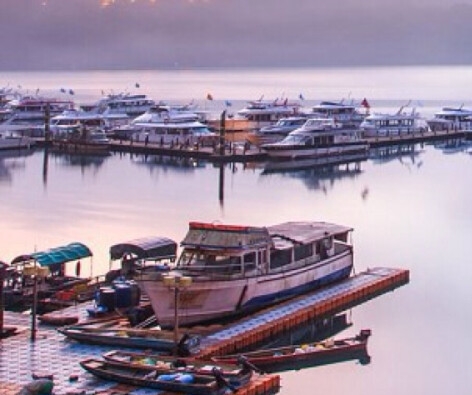 粉象生活下载app