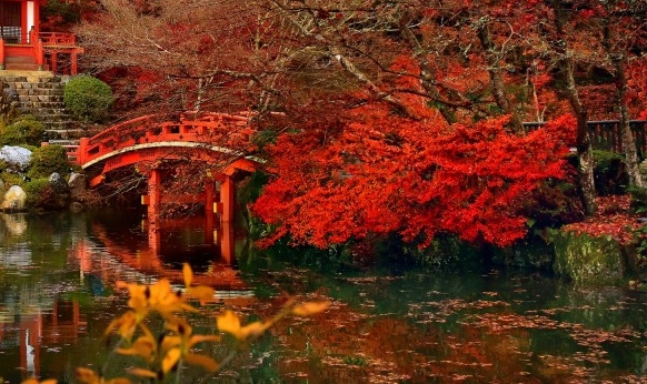 粉象生活商家版怎么开店