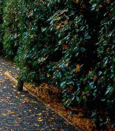 粉象生活怎么看我的邀请码