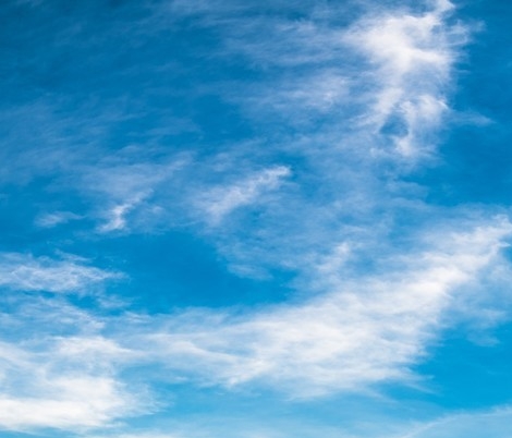 粉象生活进不去