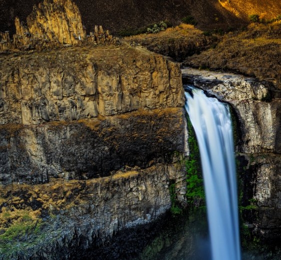 粉象生活邀请填写id码325922