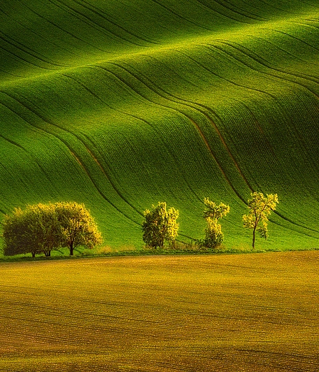 没本钱怎么创业