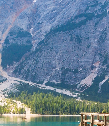 粉象生活涉嫌传销