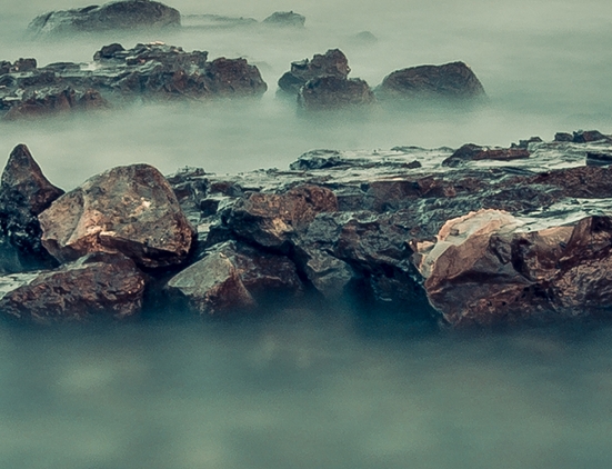 粉象生活注册的商家有哪些