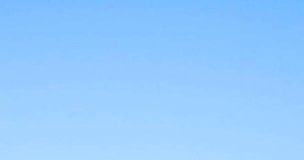 怎样退出粉象生活