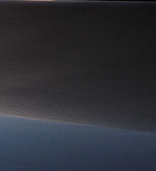 粉象生活是什么