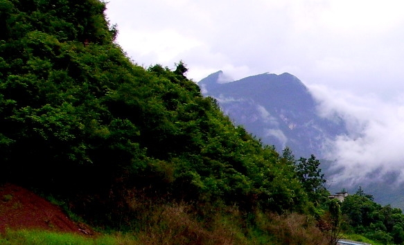 粉象生活开店铺