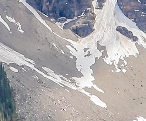 粉象生活邀请码
