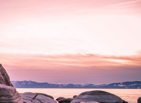 粉象生活团队组建