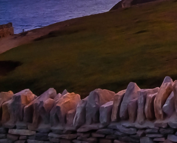 粉象生活每天送多少钱