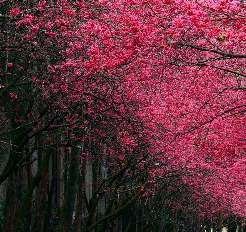 粉象生活有没有官网