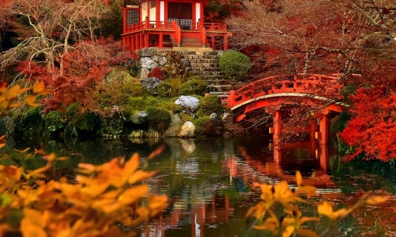 粉象生活平台如何分成