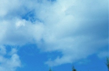 粉象生活的实名认证怎么弄