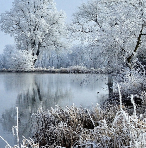 粉象生活粉丝怎么增加