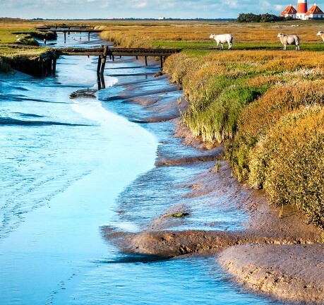 粉象生活淘宝版怎么开店