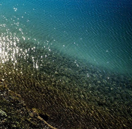 粉象生活有没有官网